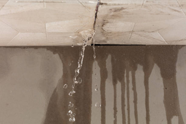 Professional Structural Drying technician working in Temple, GA